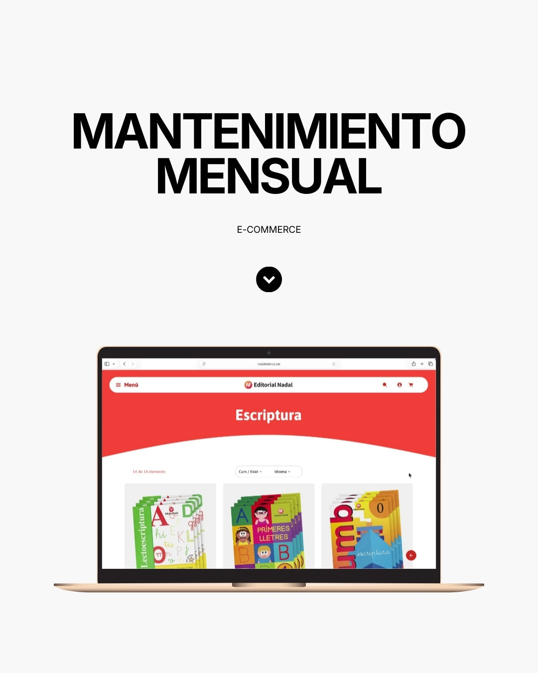 Mantenimiento web